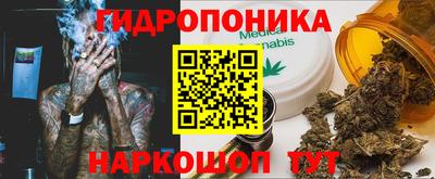 прущая мука Новодвинск
