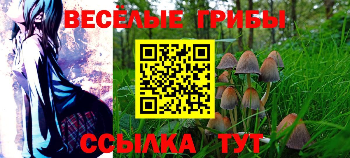 Галлюциногенные грибы прущие грибы Тайшет