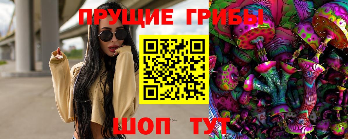 где найти наркотики  Вход с VPN  Тайшет  Галлюциногенные грибы MAGIC MUSHROOMS 